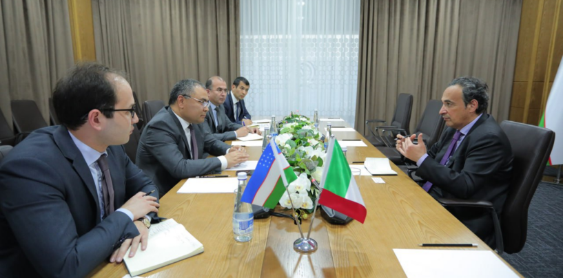 THE MINISTER OF HIGHER EDUCATION, SCIENCE AND INNOVATION MET WITH THE AMBASSADOR OF ITALY