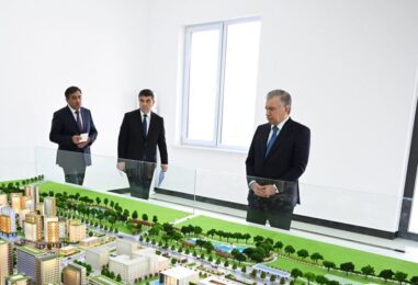 THE PRESIDENT GOT ACQUAINTED WITH THE CONSTRUCTION PROJECTS IN NAMANGAN
