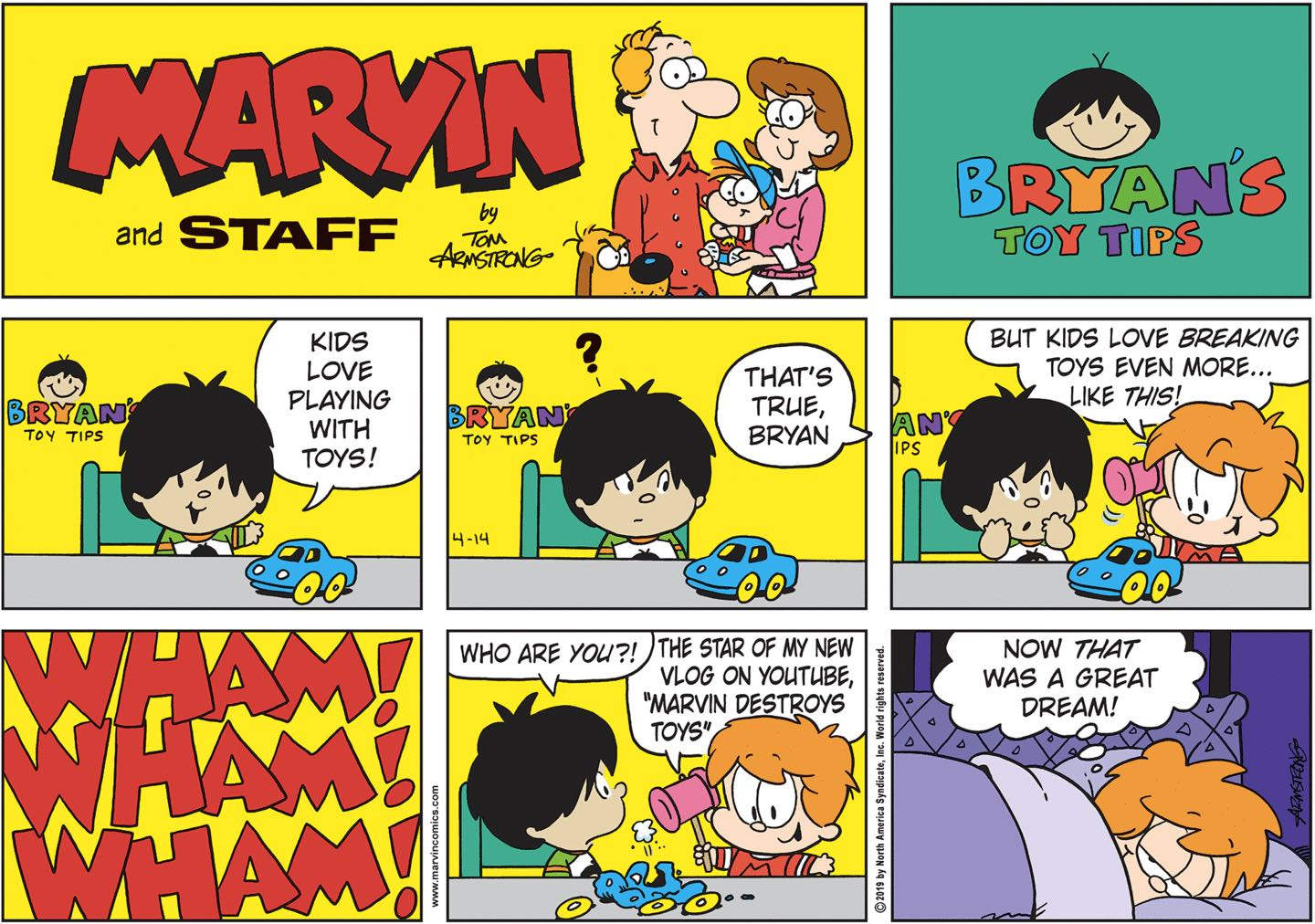 Teshigi bolgan mushukning fotosurati