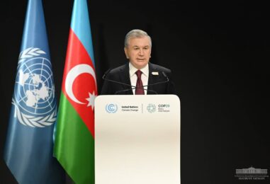 WITHIN THE FRAMEWORK OF COP 29, THE PRESIDENT OF UZBEKISTAN PUT FORWARD A NUMBER OF INITIATIVES REGARDING GLOBAL CLIMATE CHANGE