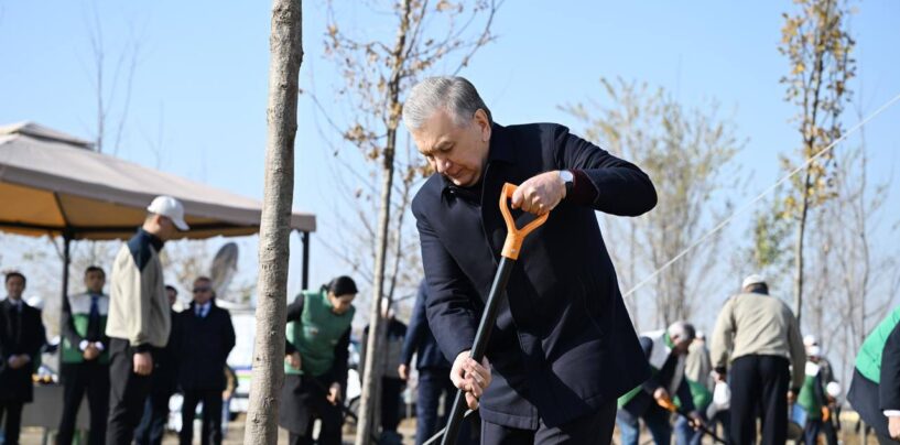 PRESIDENT SHAVKAT MIRZIYOYEV TOOK PART IN THE PLANTING OF TREES AS PART OF THE CREATION OF A ‘GREEN’ BELT