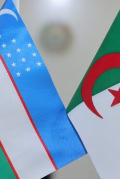 UZSWLU STUDENTS RETURNED FROM INTERNSHIP IN ALGERIA