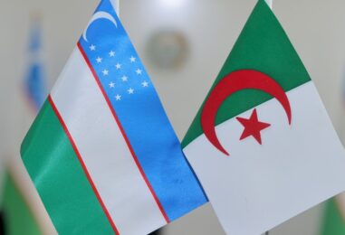 СТУДЕНТЫ УЗГУМЯ ВЕРНУЛИСЬ С ПРАКТИКИ В АЛЖИРЕ