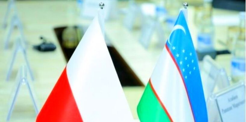 “WOMEN IN STEM” INITIATIVE DISCUSSED BETWEEN UZBEKISTAN AND POLAND